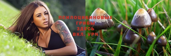 спайс Алексеевка