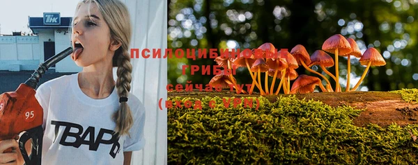 стафф Алексин