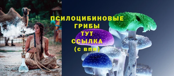 стафф Алексин