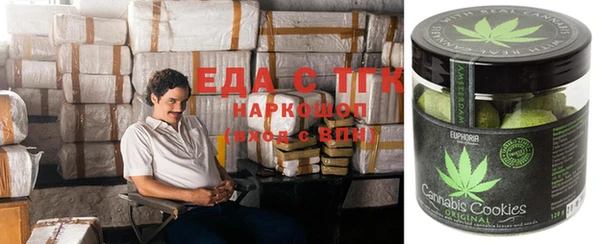 стафф Алексин
