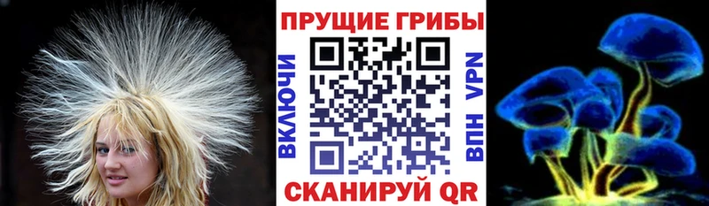 гидра рабочий сайт  Ивангород  Псилоцибиновые грибы мицелий 