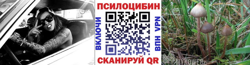 Псилоцибиновые грибы мицелий Ивангород
