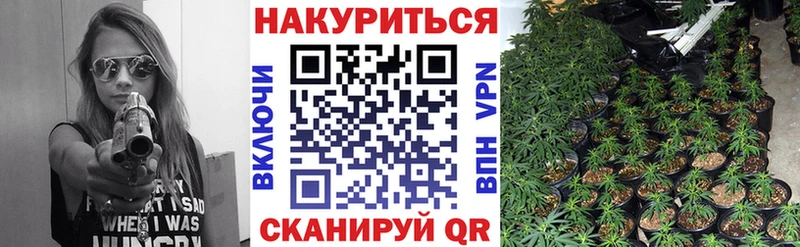 как найти   Ивангород  omg маркетплейс  Бошки Шишки гибрид 
